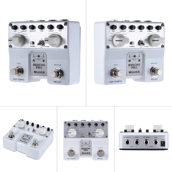 Pro Digital Delay Loop Recording