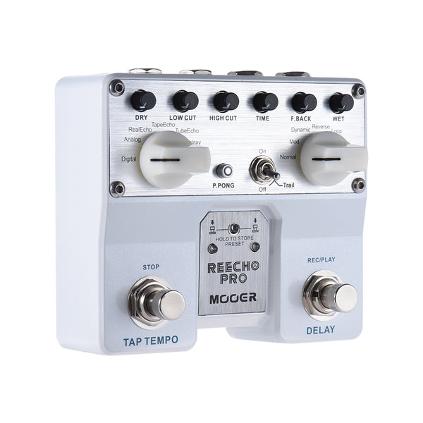 Pro Digital Delay Loop Recording